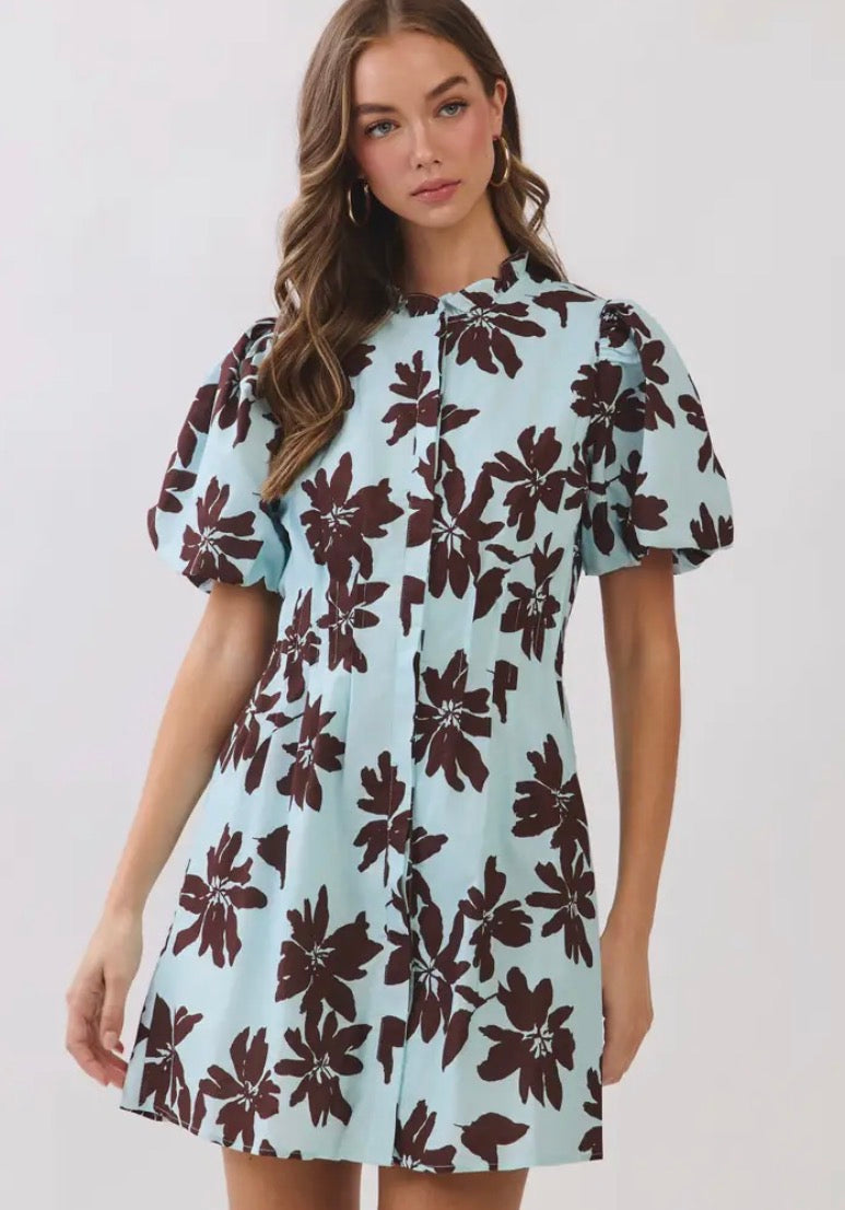 Brunch Darling Mini Dress Blue/Brown / Small
