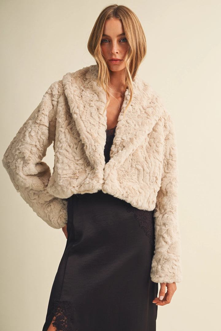 Blaire Collar Cropped Faux Fur