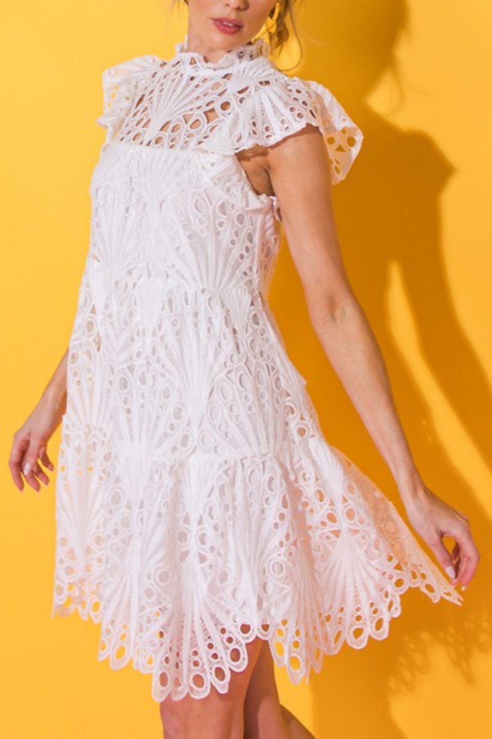 Grasse Lace Mini Dress