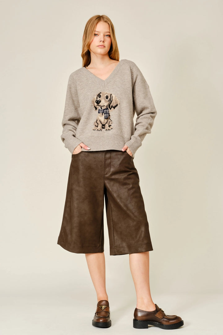 Cozy Bruno Graphic V-Neck Sweater