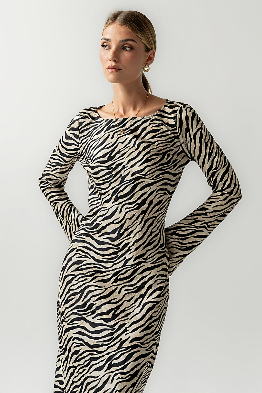 Satin Zebra Maxi Dress