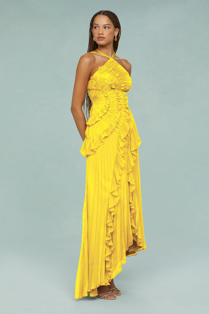 Nasha Pleated Midi Dress