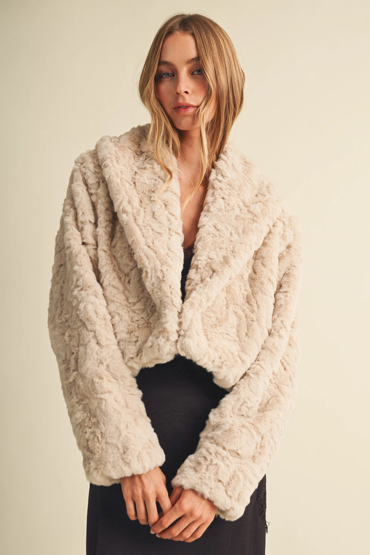 Blaire Collar Cropped Faux Fur