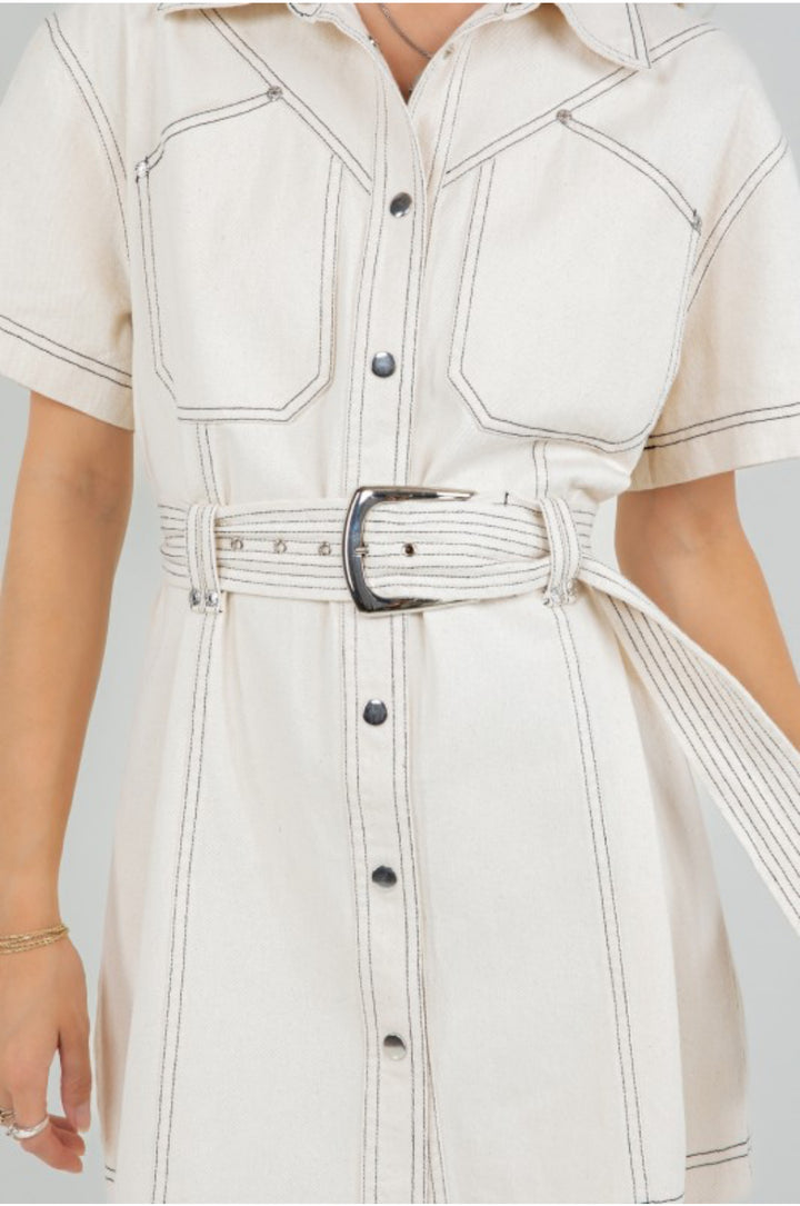Celine Belt Dress