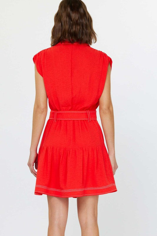Picturesque Mini Dress
