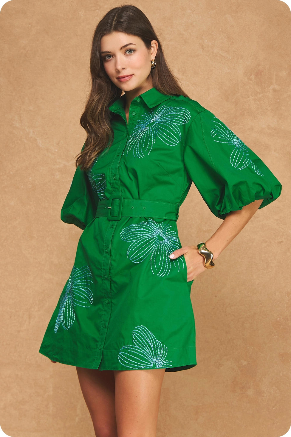 Kelson Embroidered Mini Shirt Dress