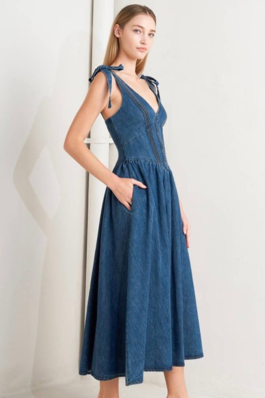 Evanora Denim Dress