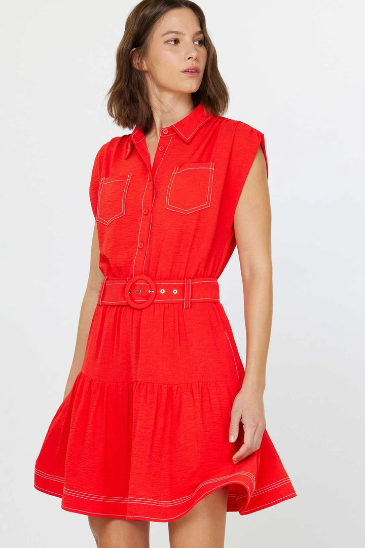 Picturesque Mini Dress