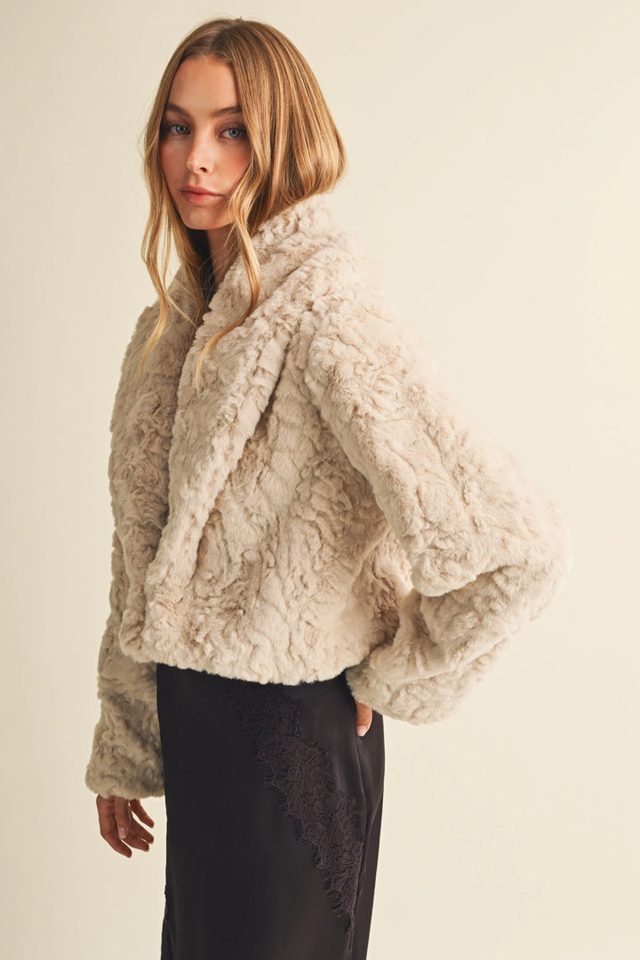 Blaire Collar Cropped Faux Fur