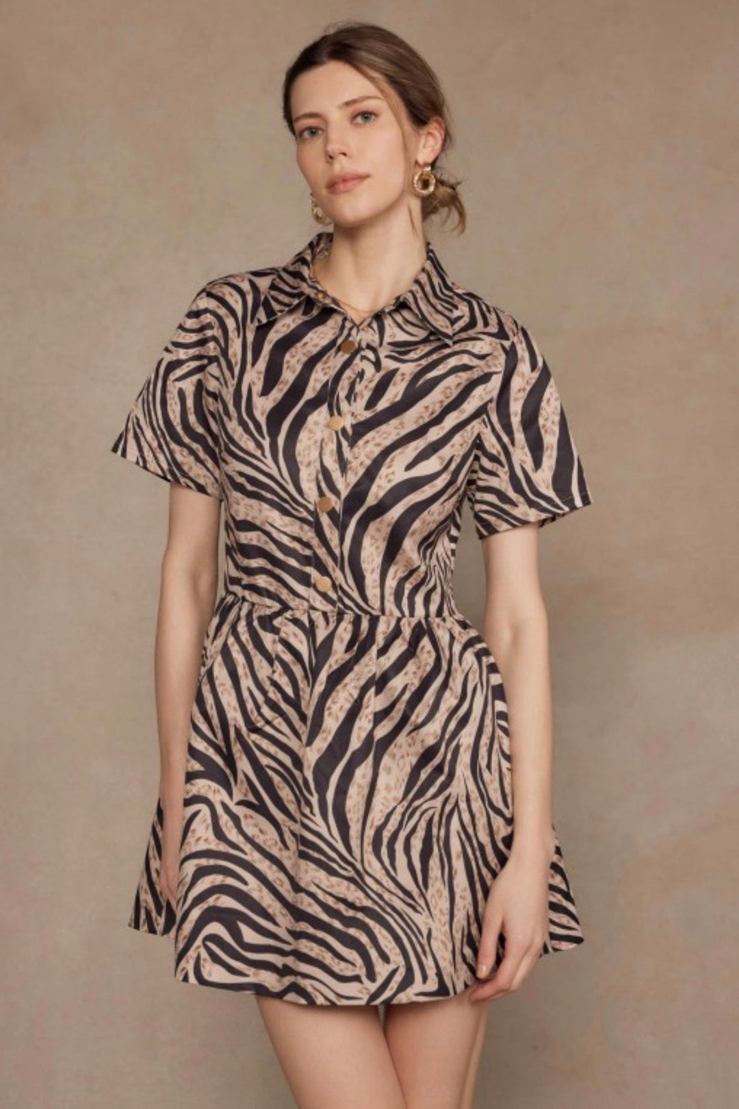 Elouise Zebra Dress