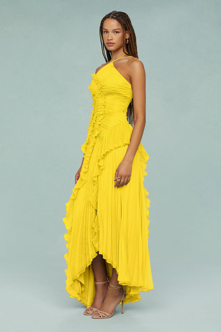 Nasha Pleated Midi Dress