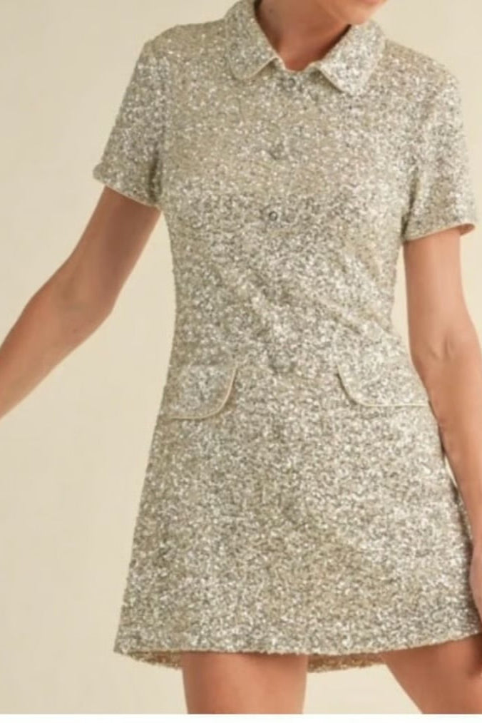 Draven Sequin Mini Dress