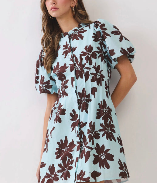 Brunch Darling Mini Dress Blue/Brown / Small