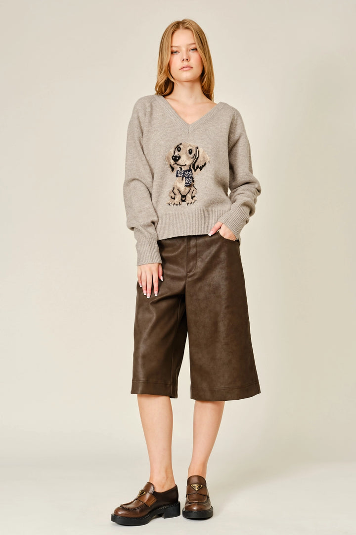 Cozy Bruno Graphic V-Neck Sweater