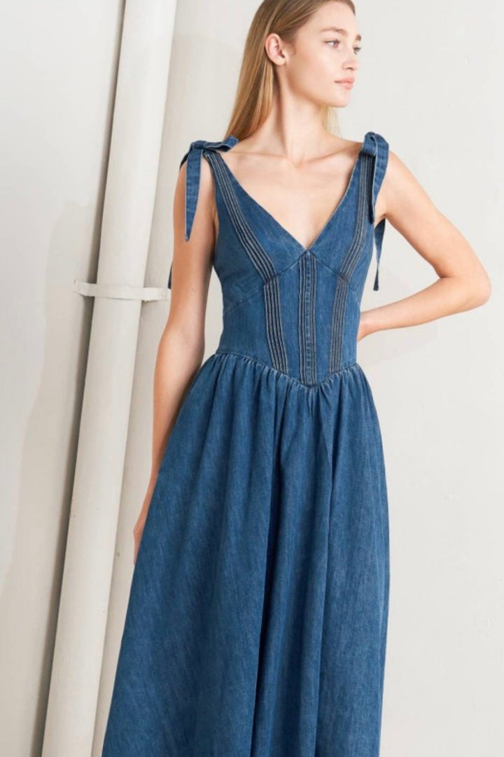 Evanora Denim Dress
